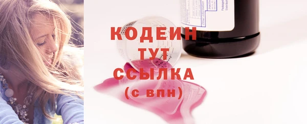 молекула духа Протвино