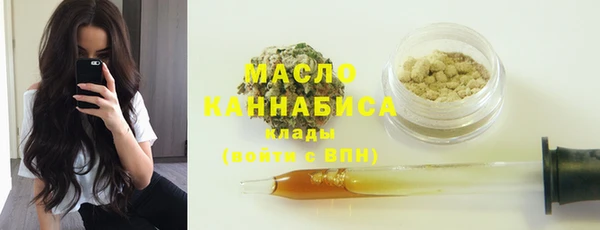 сатива Ростов