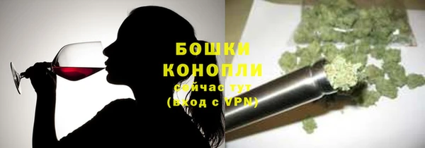 молекула духа Протвино
