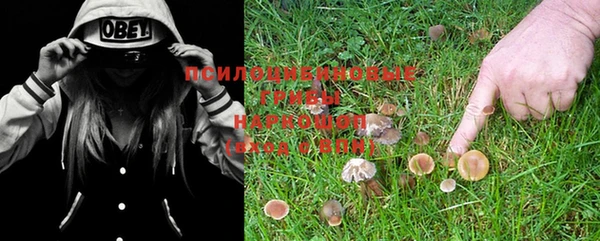 PSILOCYBIN Пролетарск