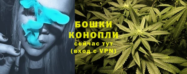 молекула духа Протвино