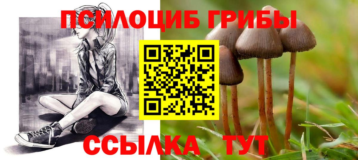 Псилоцибиновые грибы MAGIC MUSHROOMS Абинск